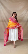 Pink & Mustard Ombre Khaddi Georgette Dupatta with Meenakari Border