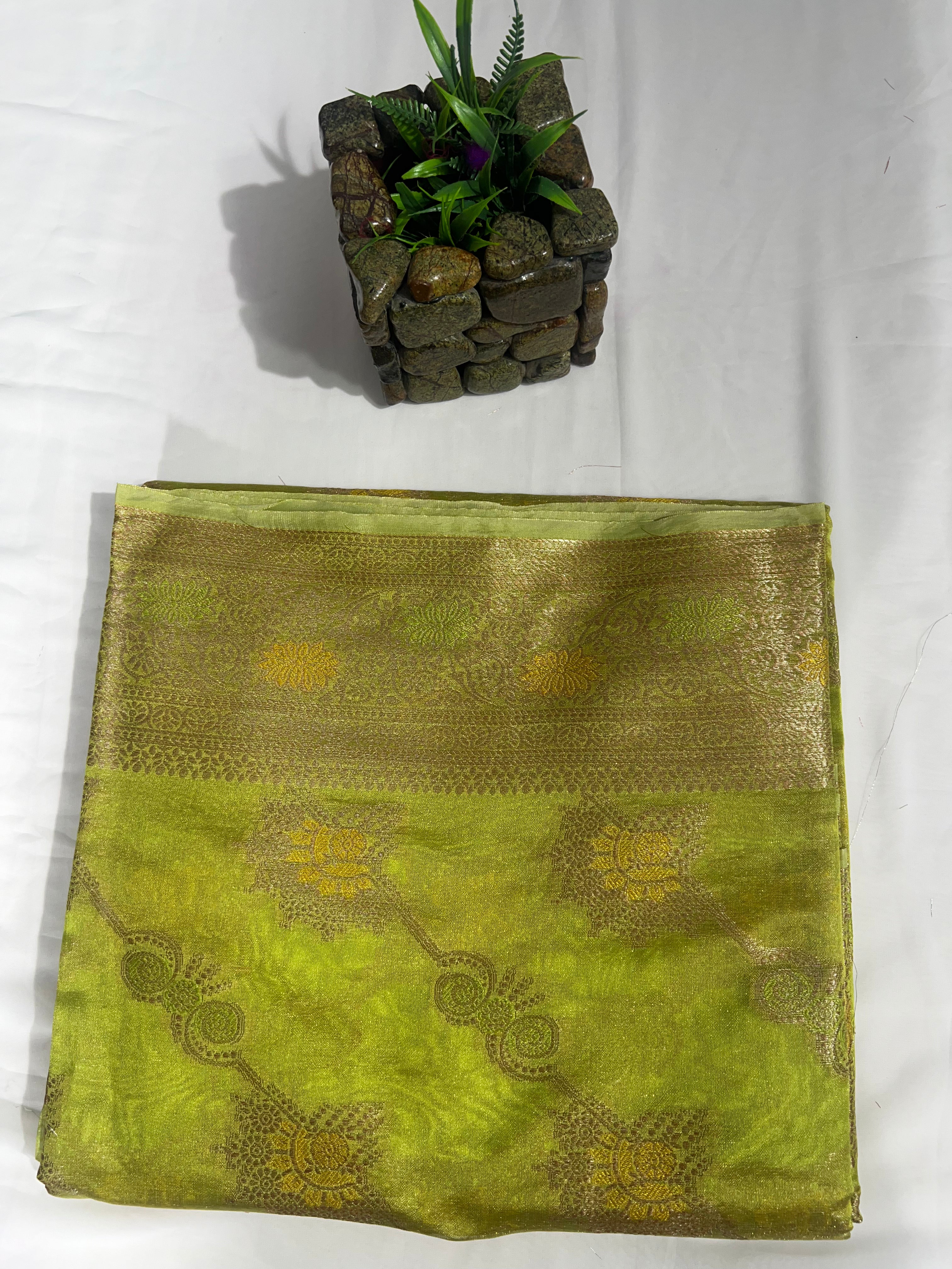 Pista Green Organza Saree with Beautiful Zari Pallu & Resham V Wing - Anita Jain Fashions